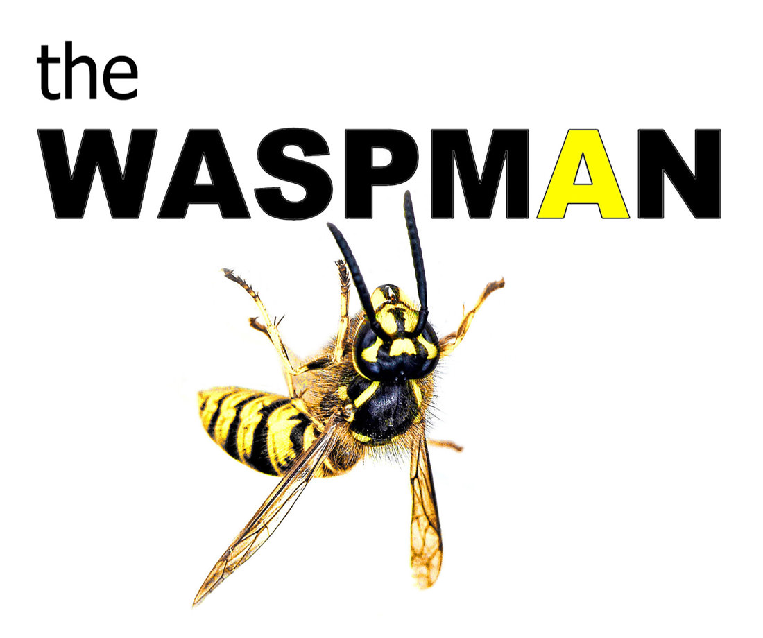 Wasp nest removal and destruction